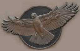 U.S. Border Patrol hawk