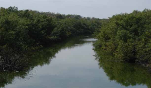 Tijuana River Estuary and Border Field State Park